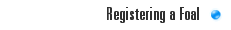 Registering a Foal